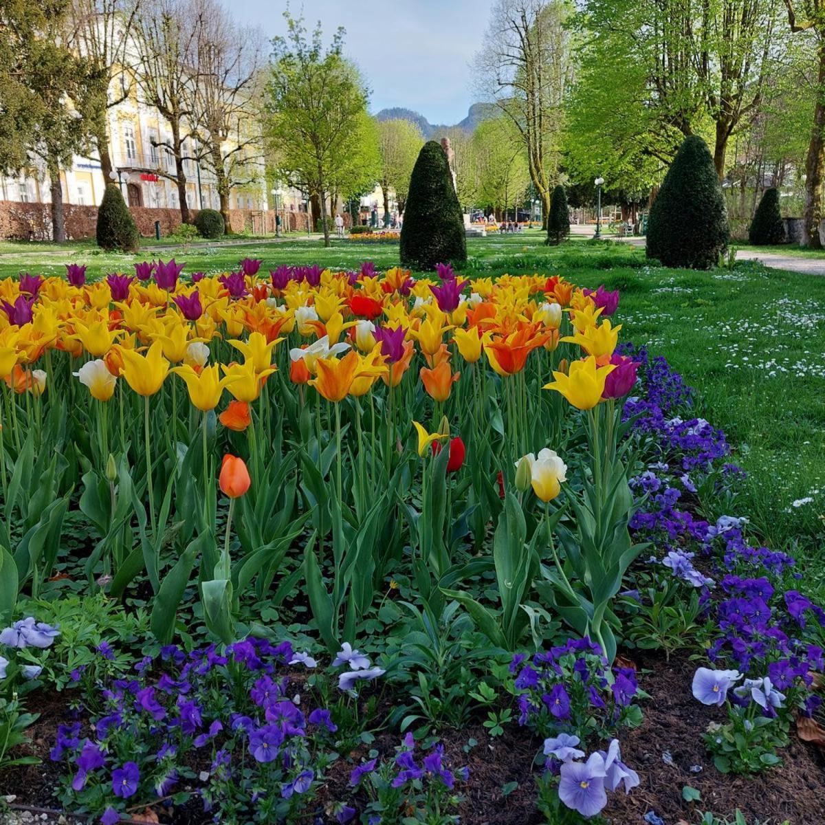 Schmaranzer Διαμέρισμα Bad Ischl Εξωτερικό φωτογραφία